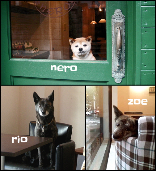 ���݂� zoe �����}�����܂�